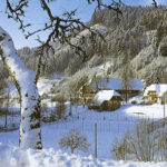 Ochsenwirtshof Hund Schwarzwald Winter - Weihnachten/Silvester